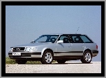 Audi 100 Avant