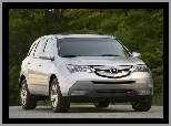 Acura MDX, Halogeny, Przód, Atrapa