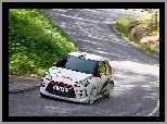 Rajd, Citroen DS3