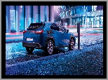 Ulica, Elektryczny, Lexus UX 300e